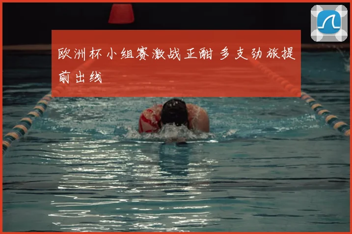 欧洲杯小组赛激战正酣 多支劲旅提前出线