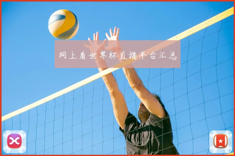 网上看世界杯直播平台汇总
