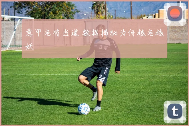 意甲老将当道 数据揭秘为何越老越妖